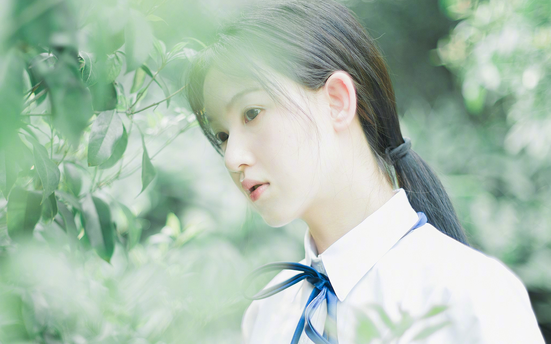 IM体育在线注册-上海风暴席卷雷霆，米切尔节奏大师的狂胜交响曲